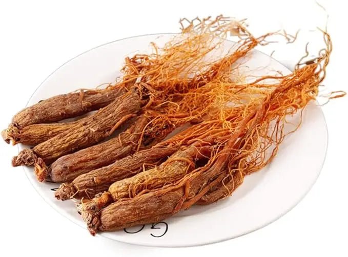 The Amazing Korean Ginseng Benefits You Need for Energy and Stamina ⚡🌿 - Shifahouse