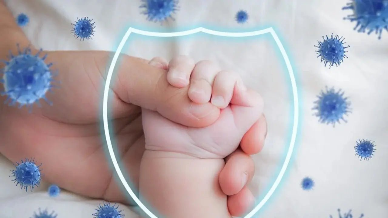 The Importance of the Immune System for Children - Shifahouse